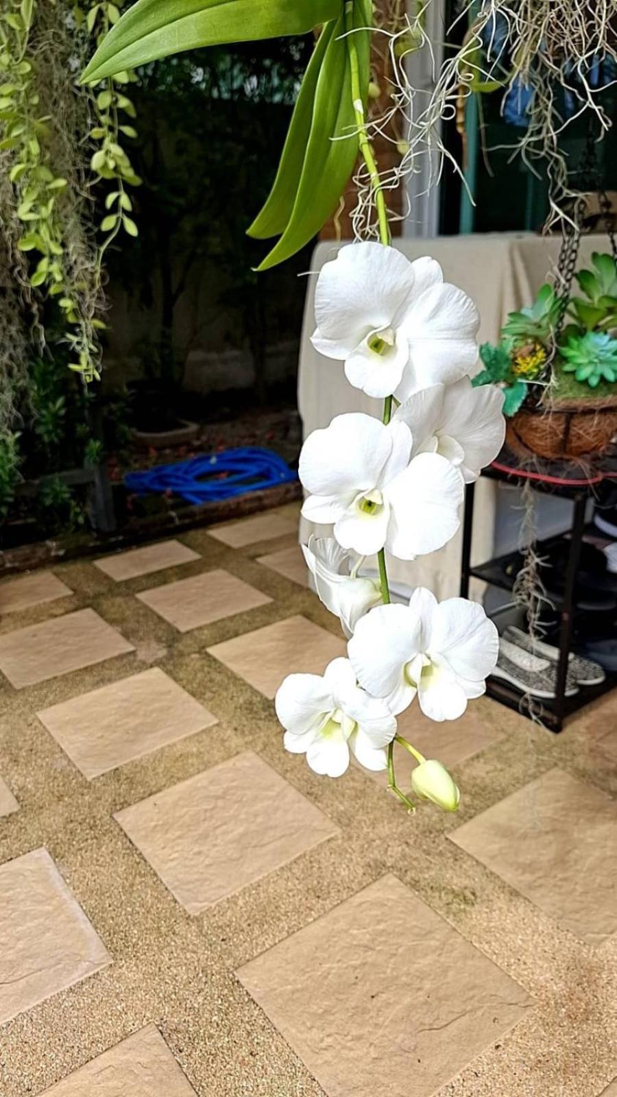 Chalong'Da Muhtesem Lokasyon Havuzlu Villa エクステリア 写真